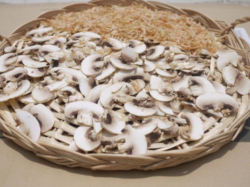 ������Ȼ�����ĵ�ζ��(ζ��)������