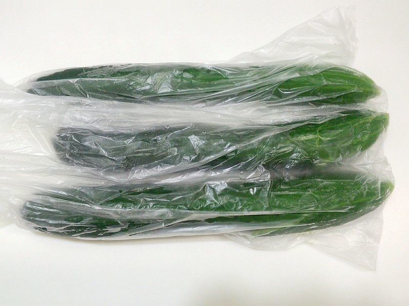 ��ʽ����С�ƹϵ�����