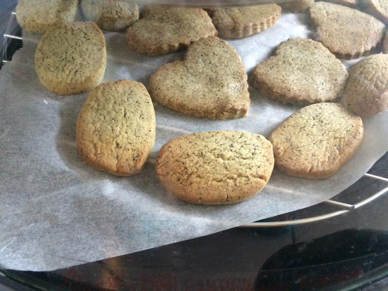 �������ֱ���(ˮ�۲����ֱ�)������