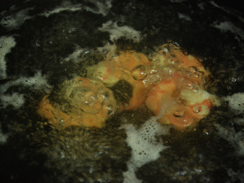 ���Ӽ������«�񡾹�ʢ���Ӵ����ʡ�������