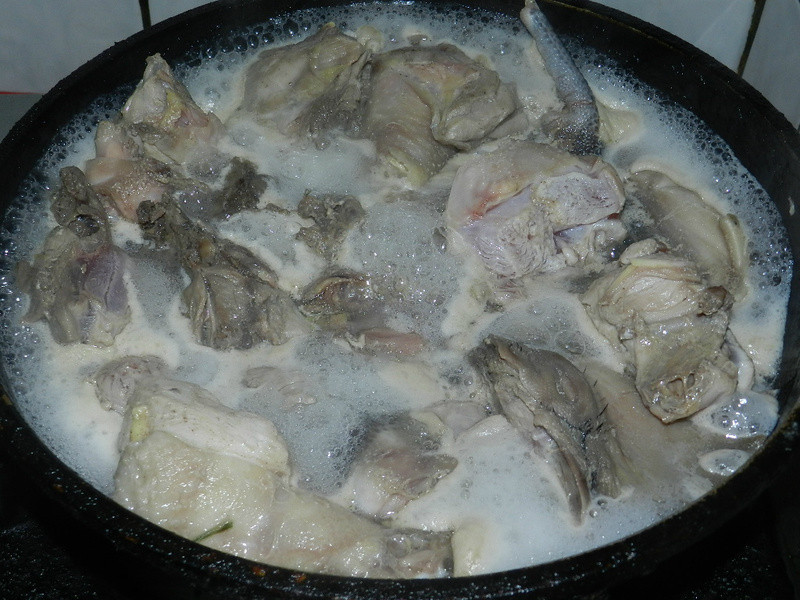 �ļ�����ζ֮�＾����~�����㹽����������