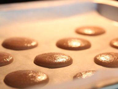 ʿ��ơ��������������