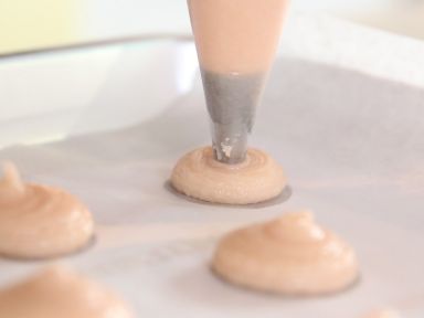 ʿ��ơ��������������