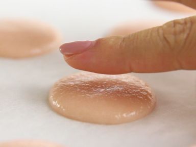 ʿ��ơ��������������