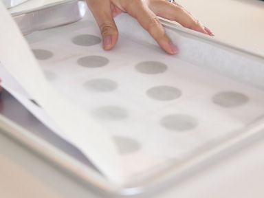 ʿ��ơ��������������