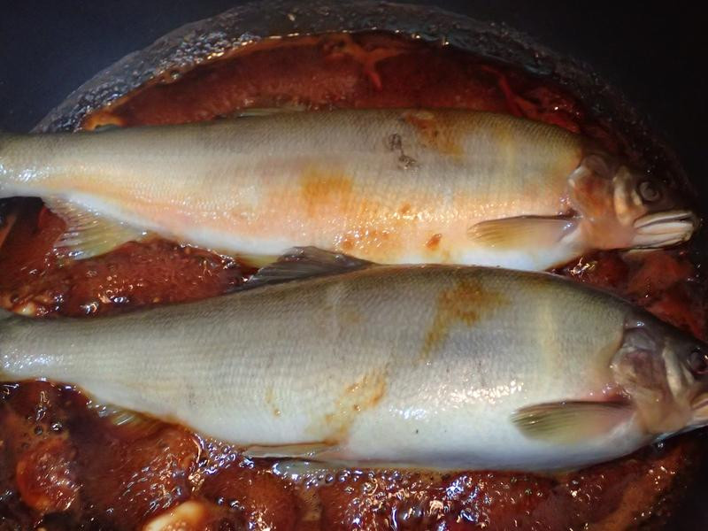 ˮ�������������