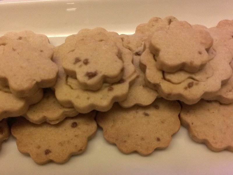 ������~���Ǳ���-��մ������������