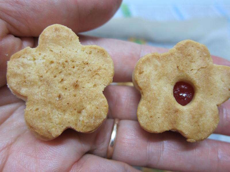 ���Ǳ��ɵ�����