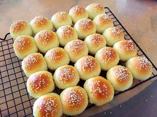 ��ɳ���������������