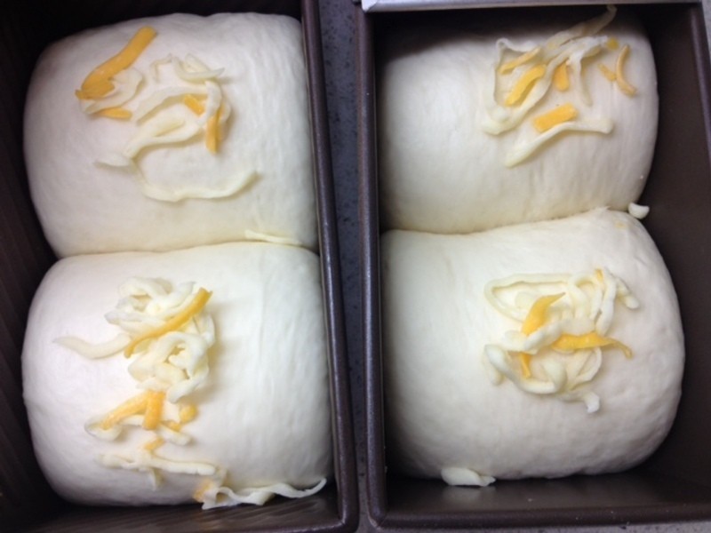 [Witi?Kitchen]���Ҷ�VS�����˾˫ƴ��˾������