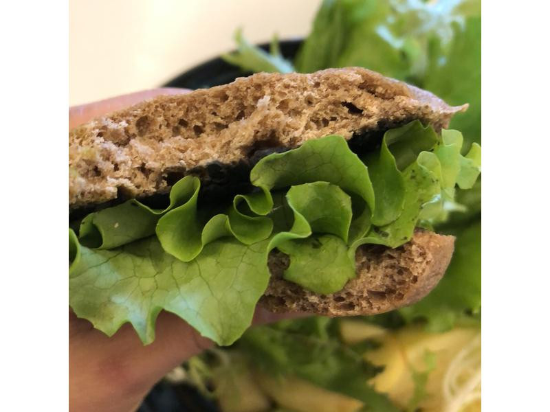 100%ȫ���gi����������