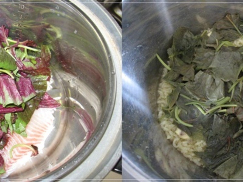 �����Ȳ��������