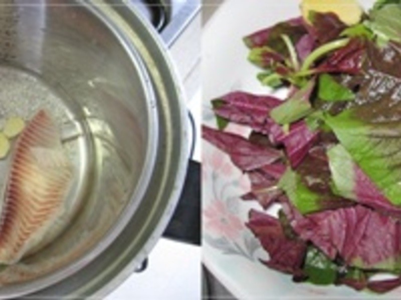 �����Ȳ��������