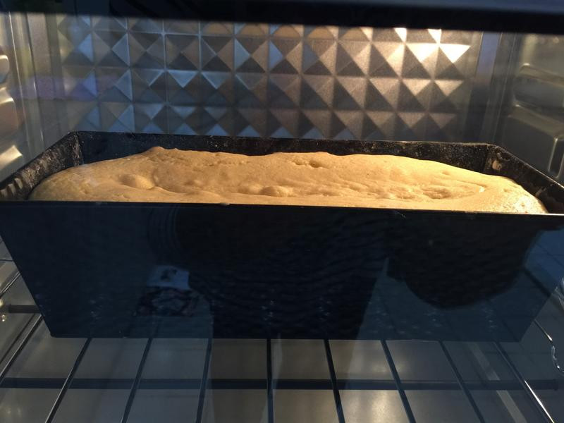 �������Ȱ����������