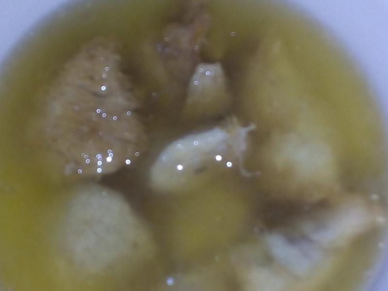 开运猴头菇的做法