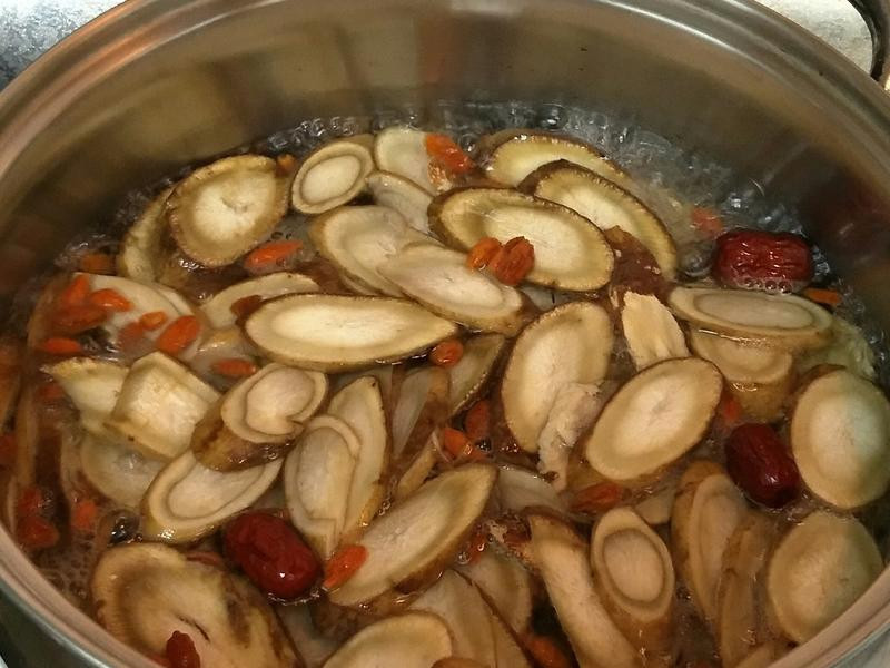 ţ����������������