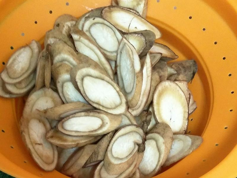 ţ����������������