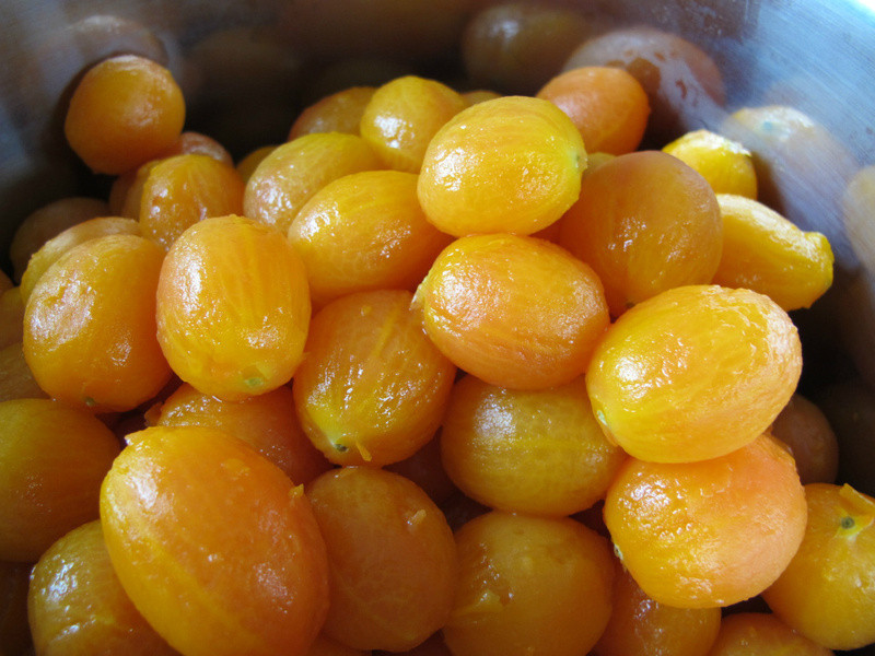 ����ƽ��ѵ�����