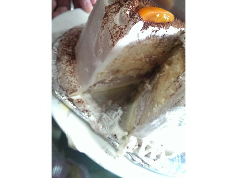 �����������͵��������