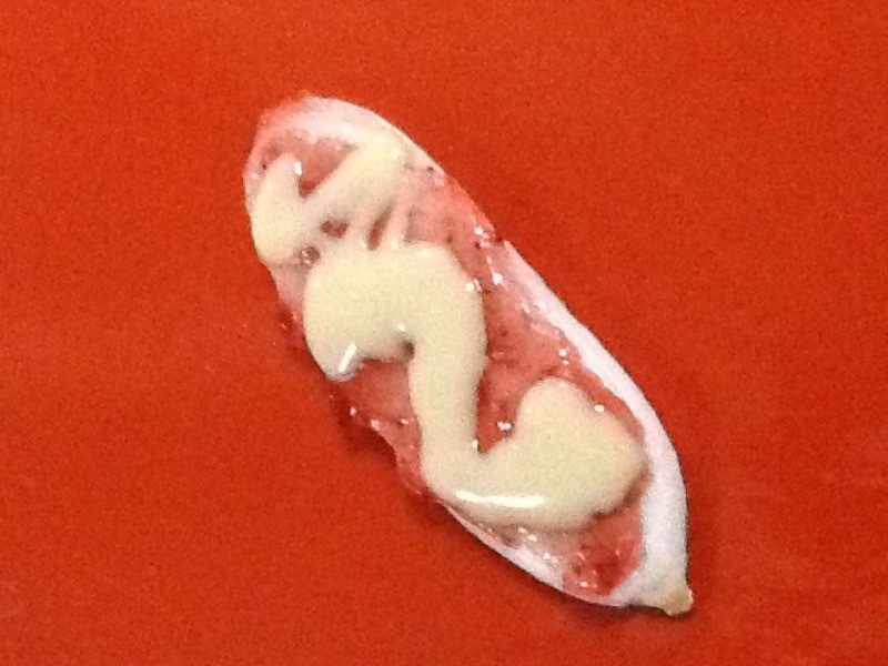 �Ϳ���ݮ���̼��ı��ɵ�����