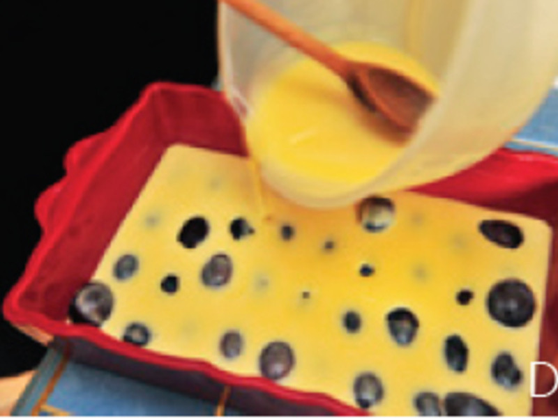 ��ʽ�������ܽ羵�����