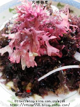 ���躣ʯ��������