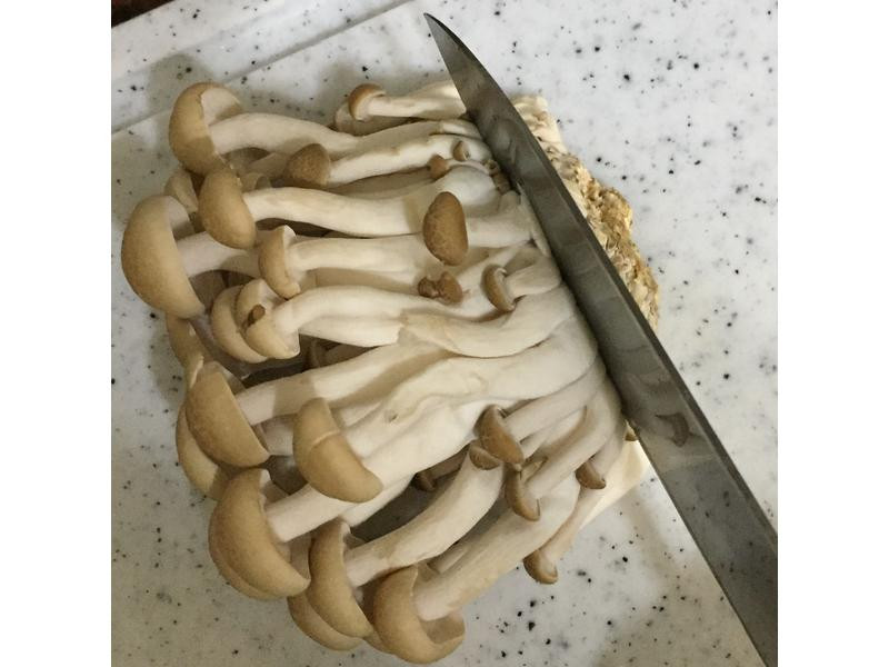 �²˺ù��������