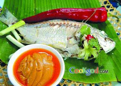 ºìÓ͹Öζ½´¶³ÓãµÄ×ö·¨