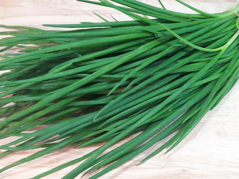 ��˿�峴��е�����