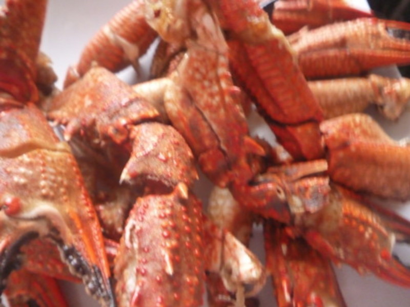 �ܷ�����з�ŵ�����