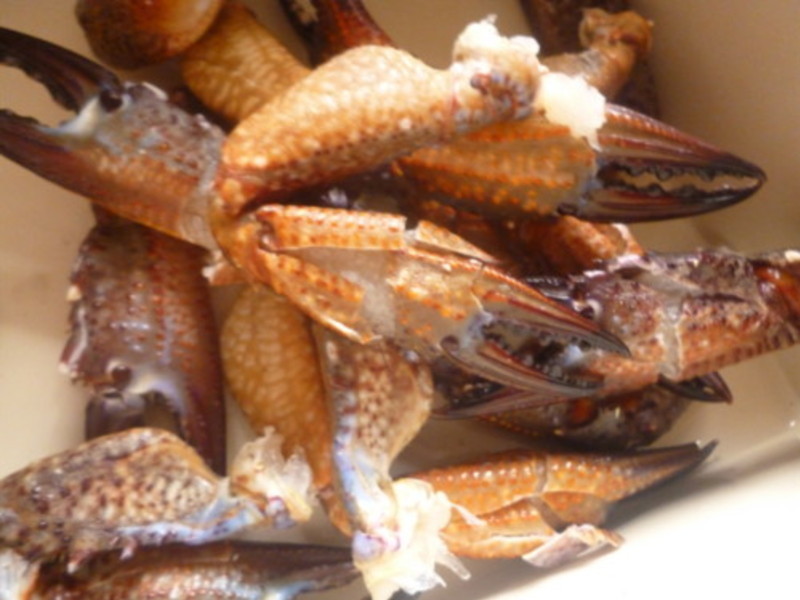 �ܷ�����з�ŵ�����