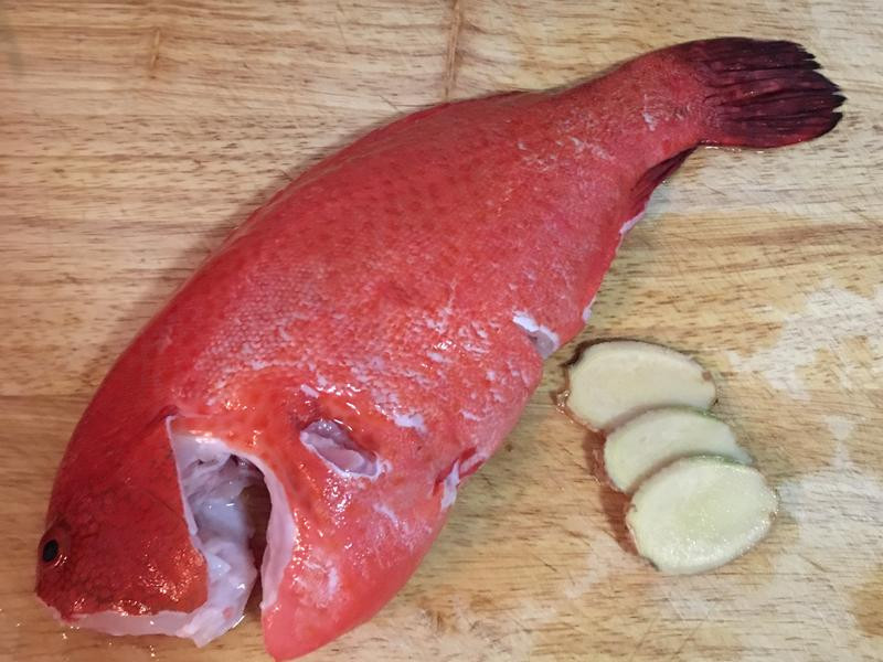 ��˿��������������