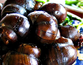 �������ϵ�����