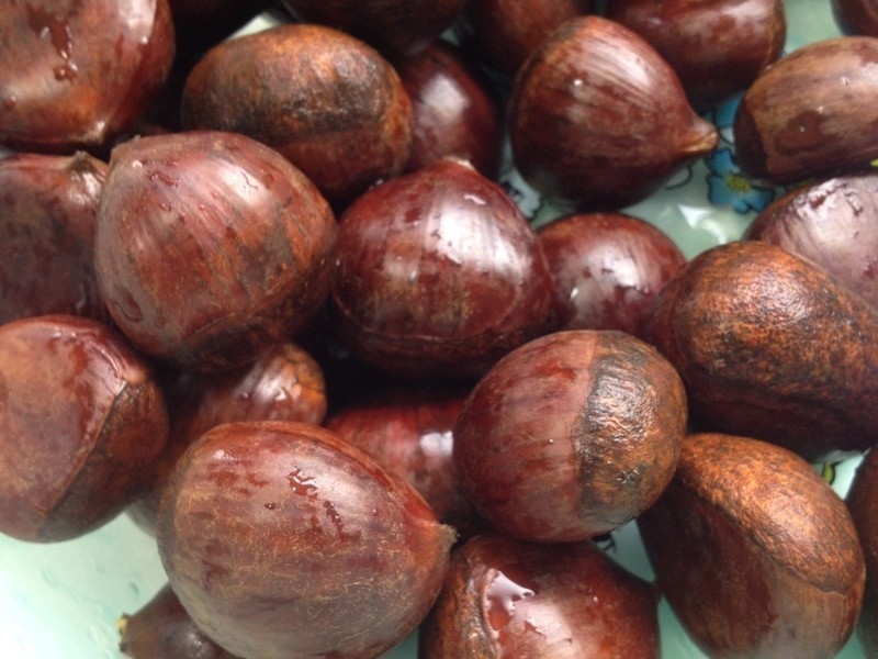 �����ӵ�����