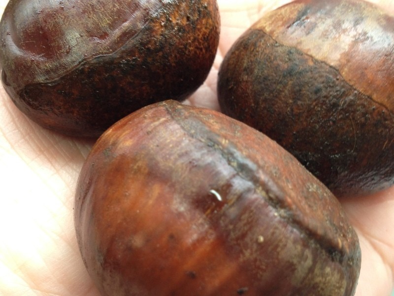 �����ӵ�����