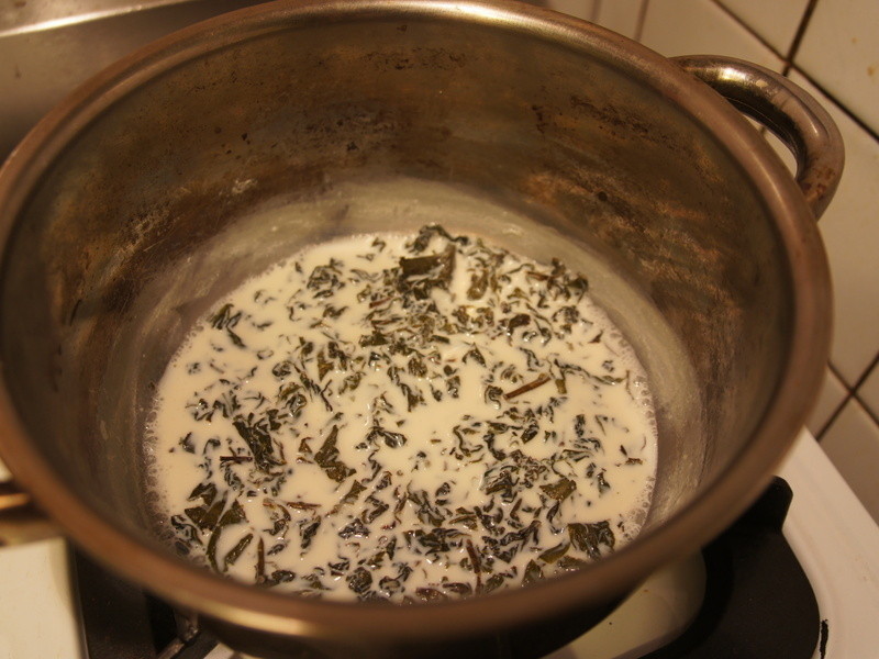 ��������� Panasonic���������������