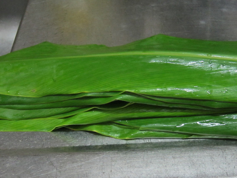 ��������ա�ţͷ�ƶ������衻������