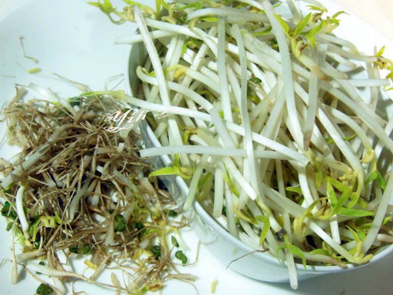 ?������ʳ?��ѿ��˼�賴�� ~����ʳ������