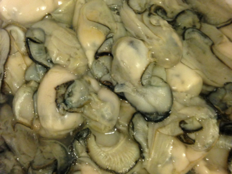 Emily*���·���������*������