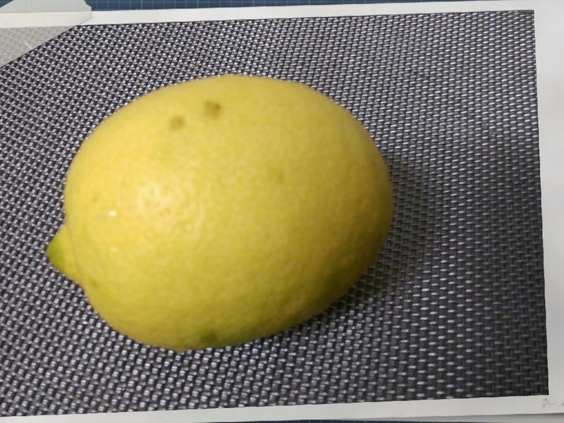 ���ع�Ҷ����ڵ�����