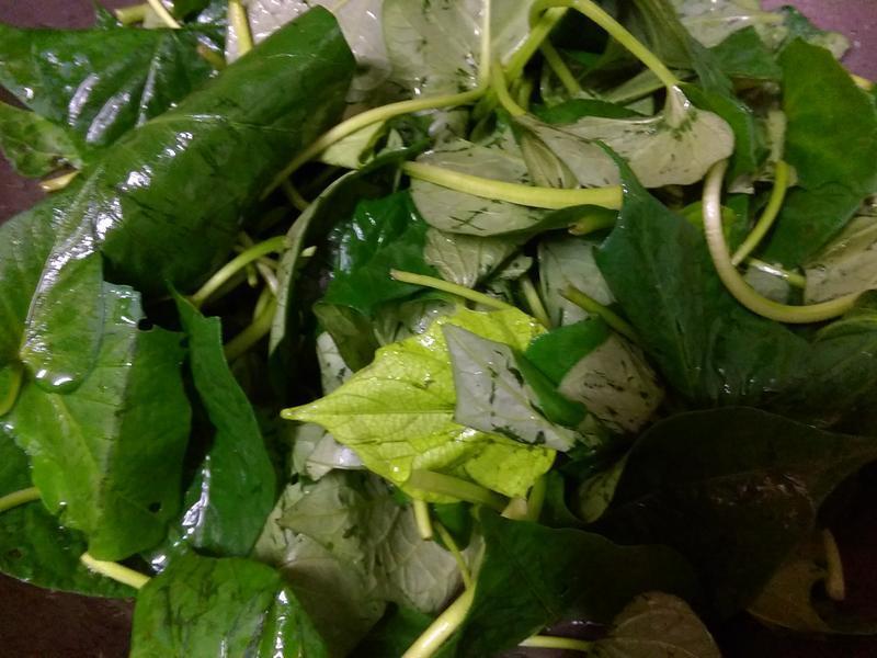 ���ع�Ҷ����ڵ�����