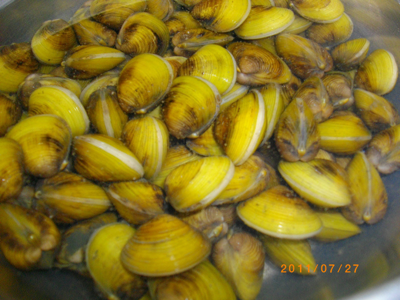 ������ˡ��Z����е�����