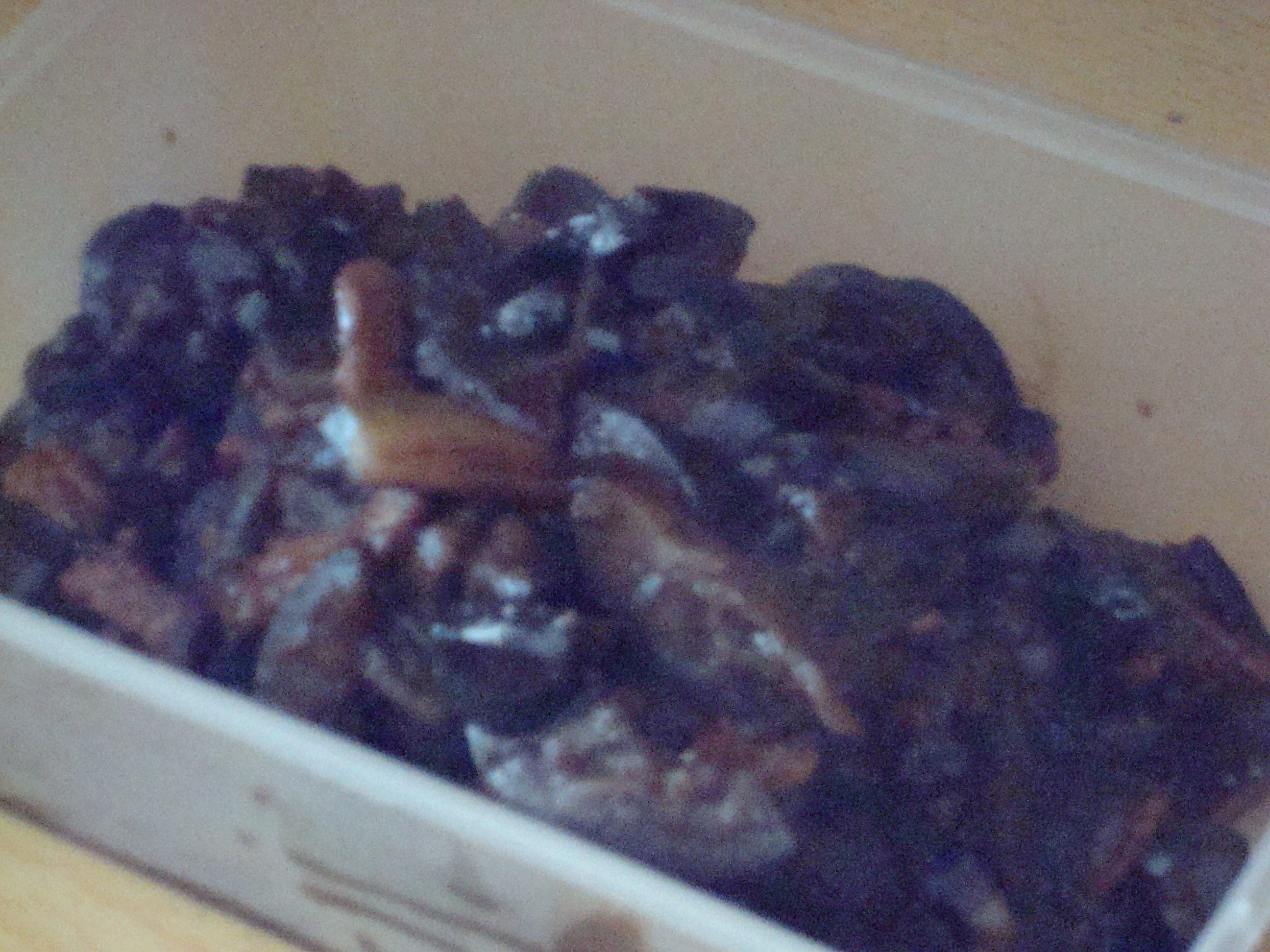 �����⽴������