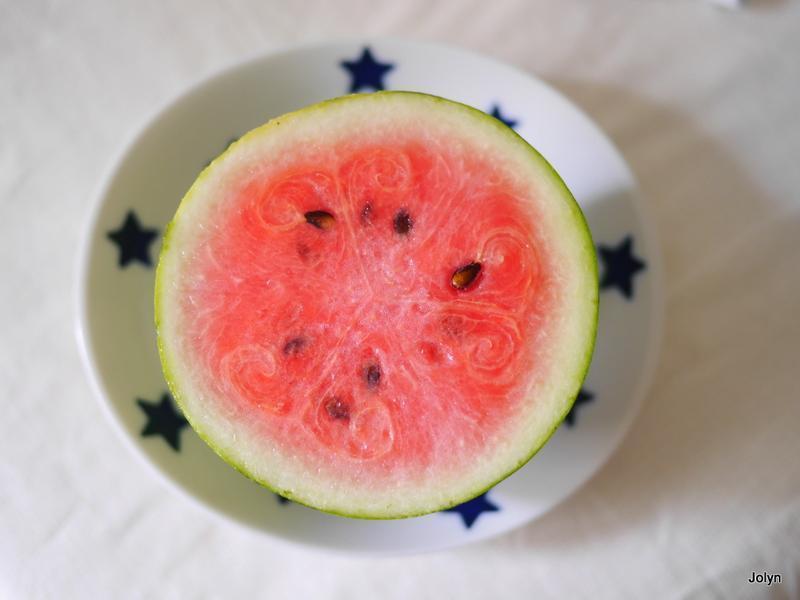 ?�������������Ǳ���?������