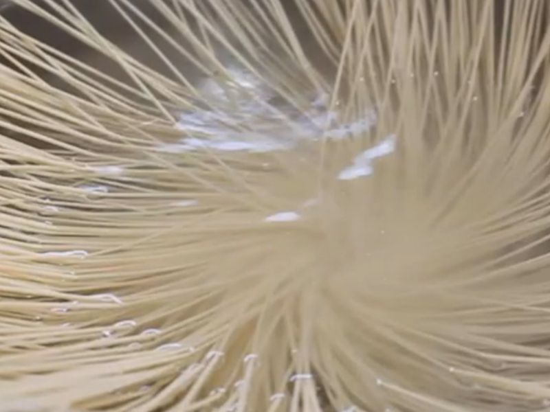 ˿�ϵ����ߵ�����