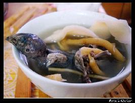 ��ɽ����������������