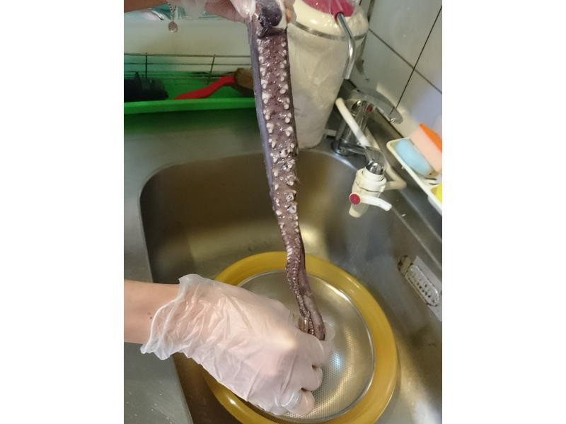 ��ĩ���������