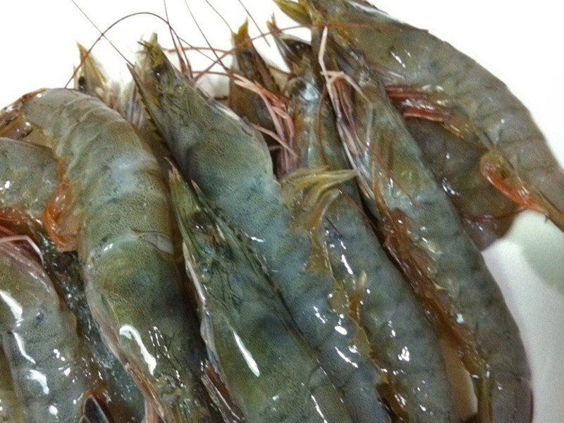 ��Ϻ����ʽ������֭������