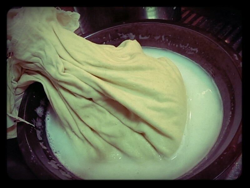 ��֭�����ơ�����Ӫ��������������