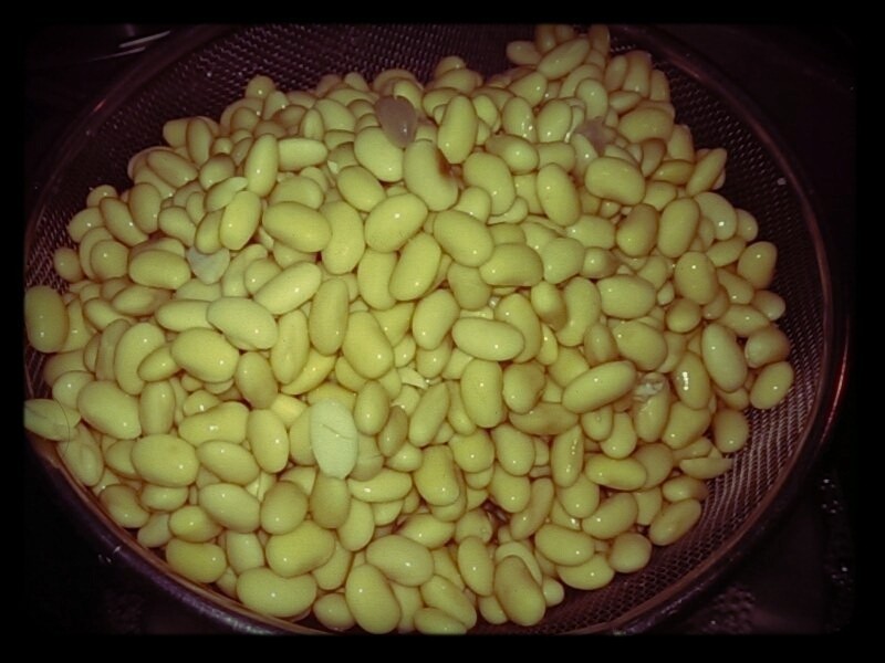 ��֭�����ơ�����Ӫ��������������